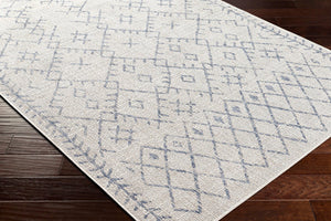 Livabliss Eagean Bohemian Geometric Flatweave Polypropylene Rug for Indoor Outdoor Living Spaces Oatmeal, Gray 7'10" x 7'10" EAG2403-710RD