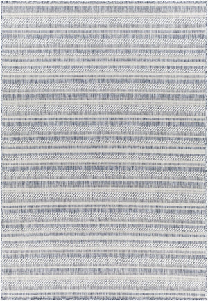Livabliss Eagean Bohemian Global Flatweave Polypropylene Accent Rug for Entryway or Patio Navy, Blue 7'10" x 10'2" EAG2407-710102