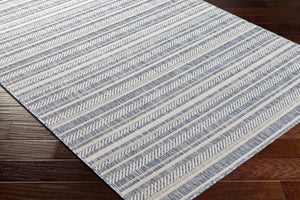 Livabliss Eagean Bohemian Global Flatweave Polypropylene Accent Rug for Entryway or Patio Navy, Blue 7'10" x 10'2" EAG2407-710102