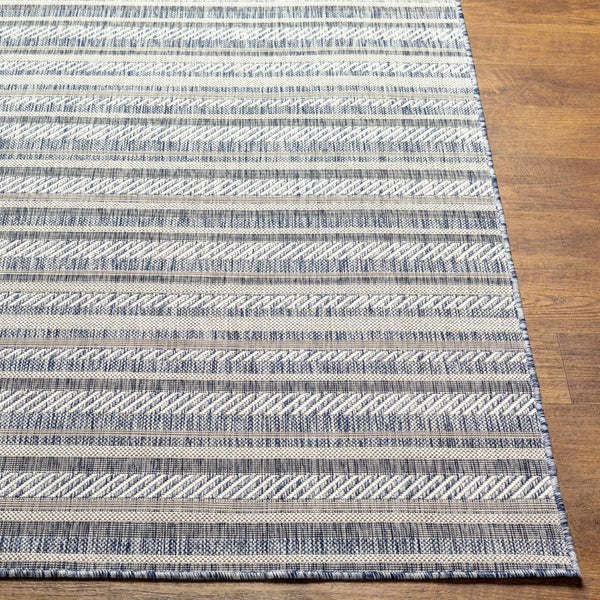 Livabliss Eagean Bohemian Global Flatweave Polypropylene Accent Rug for Entryway or Patio Navy, Blue 7'10" x 10'2" EAG2407-710102