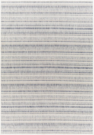 Livabliss Eagean Bohemian Flatweave Polypropylene Rug for Entryways and Covered Patios Oatmeal, Gray 2' x 2'11" EAG2408-2211