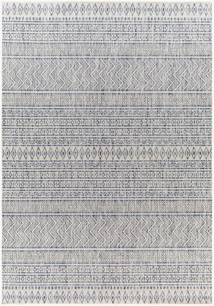 Livabliss Eagean Flatweave Polypropylene Bohemian Global Rug for Indoor Outdoor Patio Use Navy, Blue 2' x 2'11" EAG2410-2211