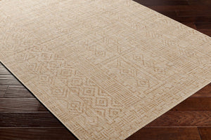 Livabliss Eagean Global Bohemian Flatweave Polypropylene Rug for Indoor Outdoor High Traffic Rooms Cream, Light Be 8'10" x 12' EAG2415-81012
