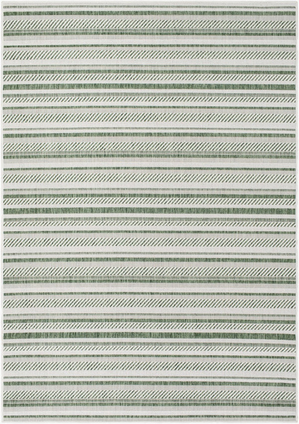 Livabliss Eagean Bohemian Global Flatweave Polypropylene Rug for Entryways and Patios Grass Green, Iv 4'3" x 5'11" EAG2422-43511