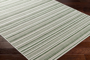 Livabliss Eagean Bohemian Global Flatweave Polypropylene Rug for Entryways and Patios Grass Green, Iv 4'3" x 5'11" EAG2422-43511
