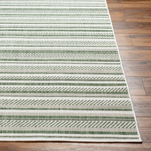 Livabliss Eagean Bohemian Global Flatweave Polypropylene Rug for Entryways and Patios Grass Green, Iv 4'3" x 5'11" EAG2422-43511