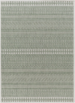 Livabliss Eagean Bohemian Flatweave Polypropylene Rug for Entryways and High Traffic Spaces Grass Green, Iv 5'3" x 7'7" EAG2425-5377