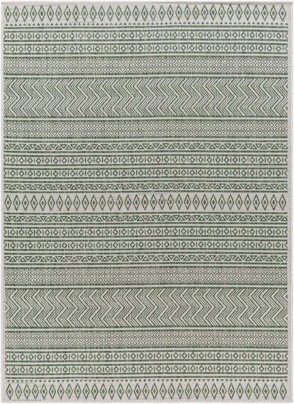 Livabliss Eagean Bohemian Flatweave Polypropylene Rug for Entryways and High Traffic Spaces Grass Green, Iv 5'3" x 7'7" EAG2425-5377
