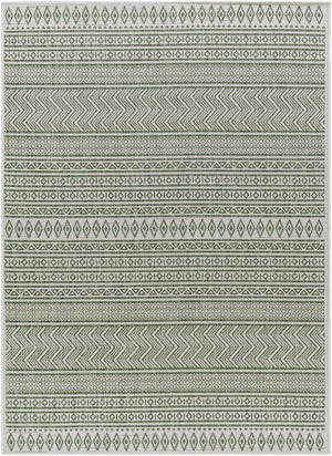 Eagean EAG-2425 8'10" x 12' Machine Woven Rug EAG2425-81012 Livabliss Surya