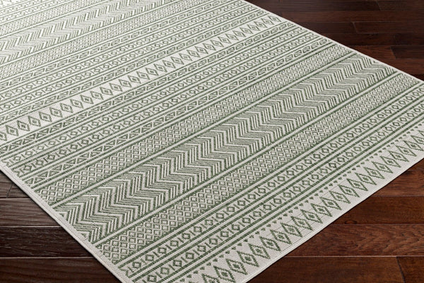 Livabliss Eagean Bohemian Flatweave Polypropylene Rug for Entryways and High Traffic Spaces Grass Green, Iv 6'7" x 6'7" Round EAG2425-67RD