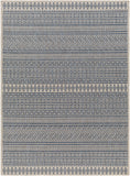 Eagean EAG-2428 8'10" x 12' Machine Woven Rug EAG2428-81012 Livabliss Surya