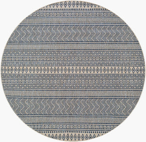 Livabliss Eagean Flatweave Polypropylene Indoor Outdoor Rug with Bohemian Global Pattern Navy, Light Bei 5'3" x 5'3" EAG2428-53RD