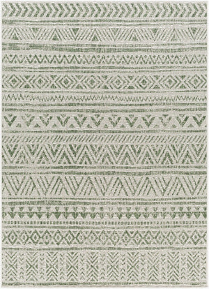 Livabliss Eagean Flat Weave Polypropylene Rug Bohemian Geometric Pattern for Entryway or Patio Grass Green, Iv 6'7" x 6'7" Square EAG2429-67SQ