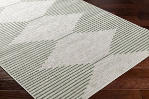 Livabliss Eagean Global Pattern Polypropylene Indoor Outdoor Rug for Entryways and Patios Grass Green, Iv 2'7" x 10' EAG2432-2710