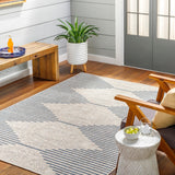 Eagean EAG-2434 8'10" x 12' Machine Woven Rug EAG2434-81012 Livabliss Surya