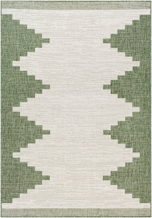 Eagean EAG-2435 8'10" x 12' Machine Woven Rug EAG2435-81012 Livabliss Surya