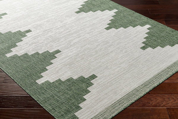 Livabliss Eagean Outdoor Geometric Polypropylene Rug Bohemian Patio Anchor Woven in Turkey Grass Green, Iv 2'7" x 12' EAG2435-2712