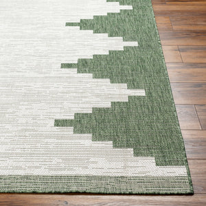 Livabliss Eagean Outdoor Geometric Polypropylene Rug Bohemian Patio Anchor Woven in Turkey Grass Green, Iv 2'7" x 12' EAG2435-2712