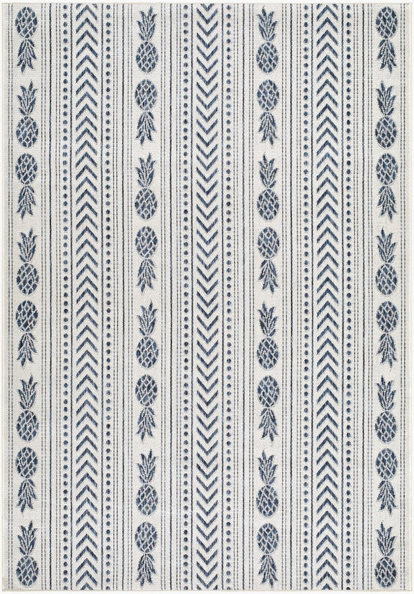 Livabliss Eagean Coastal Flatweave Polypropylene Accent Rug for Entryways Patios and High Traffic Spaces Cream, Blue 7'10" x 10'2" EAG2439-710102