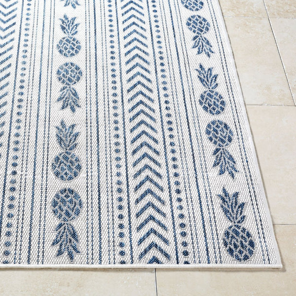 Livabliss Eagean Coastal Flatweave Polypropylene Accent Rug for Entryways Patios and High Traffic Spaces Cream, Blue 7'10" x 10'2" EAG2439-710102