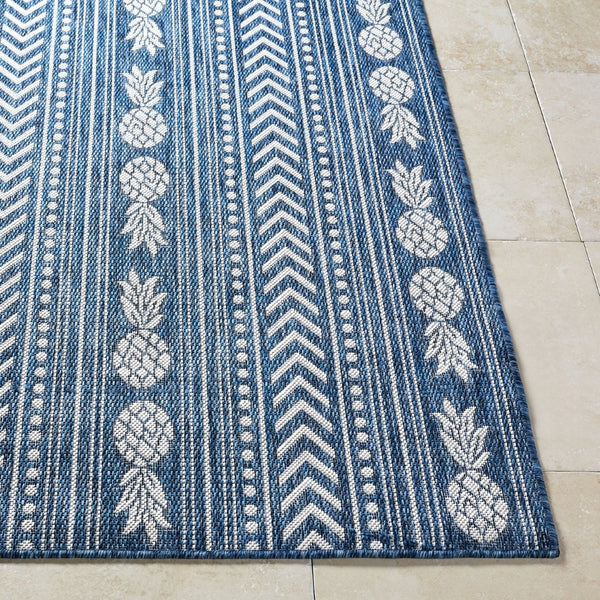 Livabliss Eagean Coastal Geometric Flatweave Polypropylene Rug for Entryway or Patio Use Cream, Blue 7'10" x 10'2" EAG2440-710102