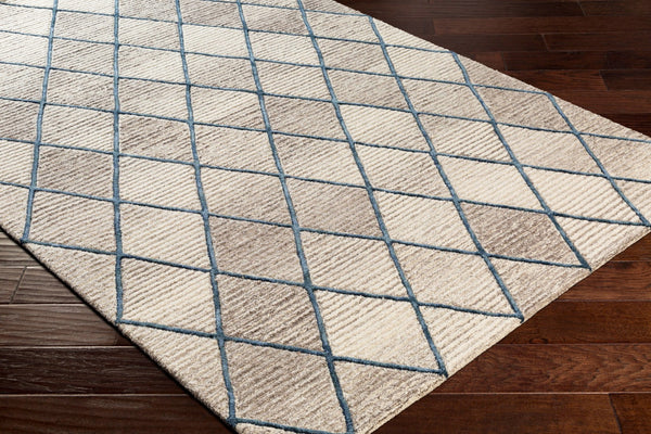 Surya Eaton 2' X 3' Handmade Viscose & Wool Area Rug - Luxurious Modern Style For Elegant Home Decor Taupe Wool,Viscose Eat2301-23