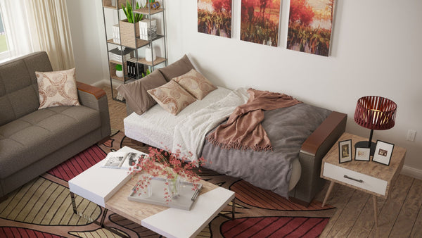 English Elm Primenest Zenaero X Convertible Loveseat With Storage - Stylish, Compact Sleeper For Small Spaces B030P281774-GIGA