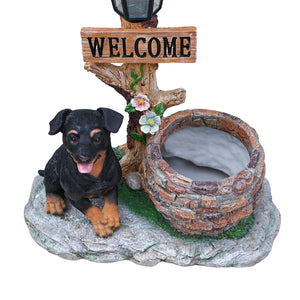 English Elm Labrador Solar Garden Statue with Led Glow and Built-in Succulent Planter Basin W5398P464239