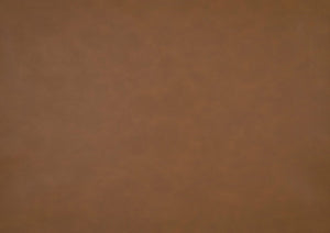 English Elm Comfort Convertible Sleeper Sofa Faux Leather Futon with Plywood Frame, Pocket Coil Comfort, Walnut Legs, 79" Camel 46 L x 36.5 W x 17 H B011P332250