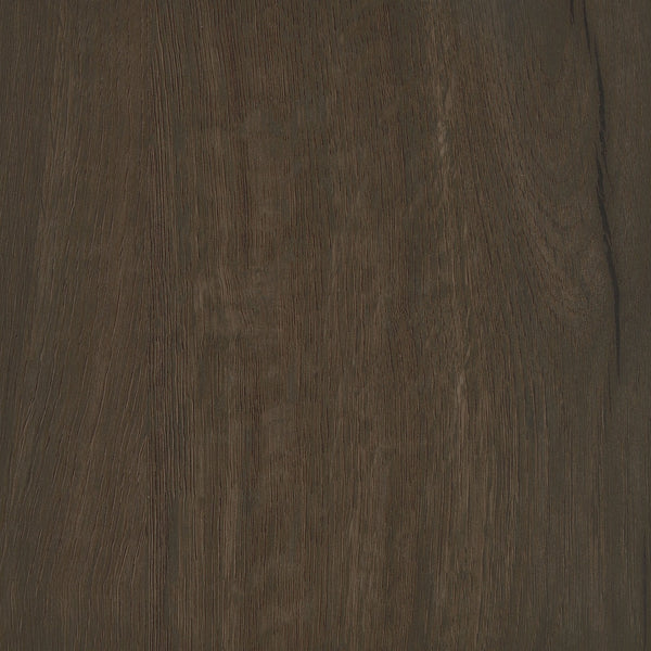 English Elm Clackamas Engineered Wood Shoe Cabinet with Hairpin Legs and Matte Gold Hardware Oak B062P440405