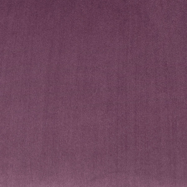 English Elm Modern Velvet Accent Chair Curved Arms Plush Cushion Upholstered Seat for Living Room Purple N763P360686I