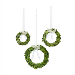 Preserved Boxwood Wreaths with Ivory Ribbon, Set of 3 EBD80077 Park Hill