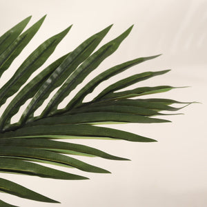 English Elm 6ft Golden Cane Faux Palm Tree Lifelike Tropical Foliage for Indoor Patio Decor W3912P387415