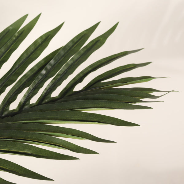 English Elm 6ft Golden Cane Faux Palm Tree Lifelike Tropical Foliage for Indoor Patio Decor W3912P387415