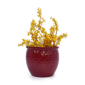 English Elm Set Of 3 Ceramic Flowerpots - Artisan Modern Planters For Garden, Patio & Windowsill Decor! W3273P321489-GIGA