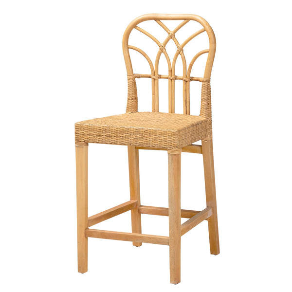 English Elm Modern Rattan Dining Chair Set of Two with Woven Back and Black Iron Base B2750P420435