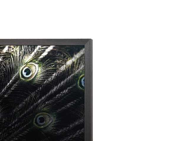 Sunpan BRILLIANT Peacock Art - 72" x 48" Luxe Wall Décor in Charcoal Frame, Modern Elegance for Any Space A0265