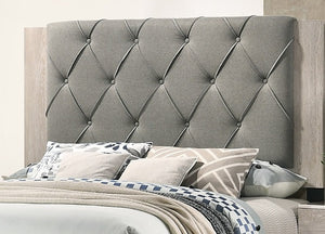 English Elm Contemporary Eastern King Bed With Cream Finish & Gray Tufted Headboard - Minimalist Chic Design B011P236792