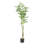 Christopher Knight Home® - Noble House - Monadnock 5' X 2.5' Artificial Money Tree, Green