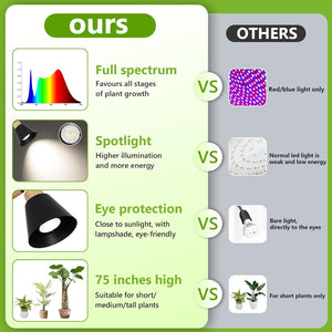 English Elm Grow Lights For Indoor Plants - Full Spectrum 20W Cob Led With Timer, Adjustable Height & Angle W2738P185439