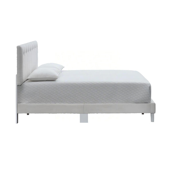 English Elm Sinclair Tufted Twin Platform Bed with Gold-Tone Accents, Plush Teddy Fabric, Adjustable Headboard Wheat 60.39 L x 26.37 W x 7.28 H B078P400738