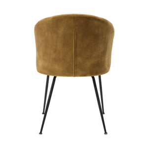 English Elm Brown Velvet Upholstered Dining Side Chair Set with Sleek Powder Coated Metal Legs Mustard B011P243656