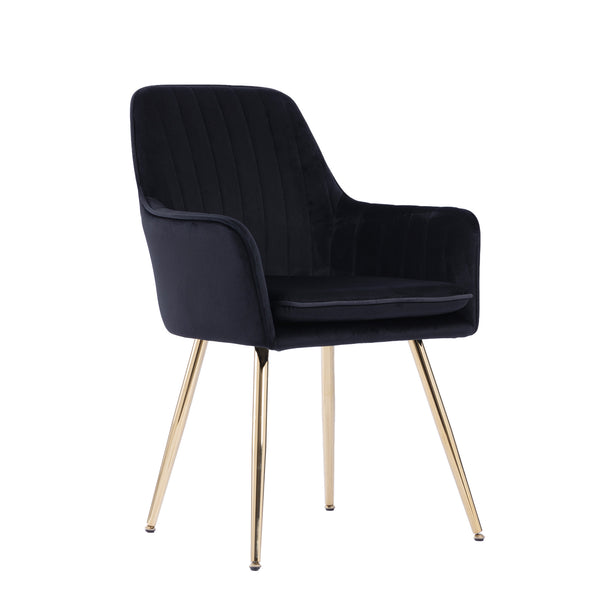 English Elm Velvet Mid-Back Dining Chairs Set of 2 — Luxurious Black Velvet Upholstered Seats with Gold Legs and Removable Cushions W3394P329170