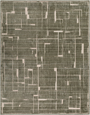 Livabliss Alma Machine Woven Polypropylene Area Rug Neutral Modern Style for Living Room Floors Olive, Medium B 7'10" x 10'2" EDAL2302-710102