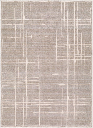 Livabliss Alma Geometric Polypropylene Area Rug Turkish Woven Modern Living Room Floor Accent Medium Brown, T 6'7" x 9' EDAL2304-679