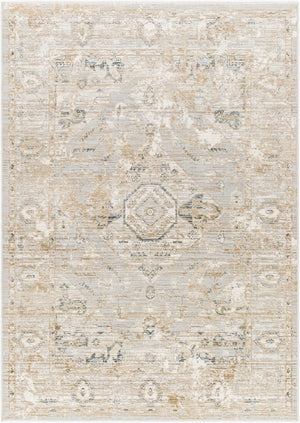 Livabliss Edmonton Machine Woven Area Rug with Fringe Detail for Entryways and Bedroom Floors Cream, Tan 2' x 2'11" EDO2302-2211