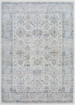 Livabliss Edmonton Traditional Fringe Area Rug Turkey Woven Polypropylene Hallway Accent Light Gray, Cha 5'3" x 7' EDO2308-537