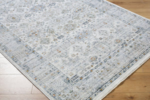 Livabliss Edmonton Traditional Fringe Area Rug Turkey Woven Polypropylene Hallway Accent Light Gray, Cha 5'3" x 7' EDO2308-537