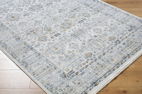 Livabliss Edmonton Traditional Fringe Area Rug Turkey Woven Polypropylene Hallway Accent Light Gray, Cha 5'3" x 7' EDO2308-537