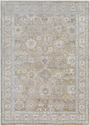 Livabliss Edmonton Traditional Fringe Accent Rug Machine Woven for Entryways and Hallways Light Gray, Med 5'3" x 7' EDO2309-537